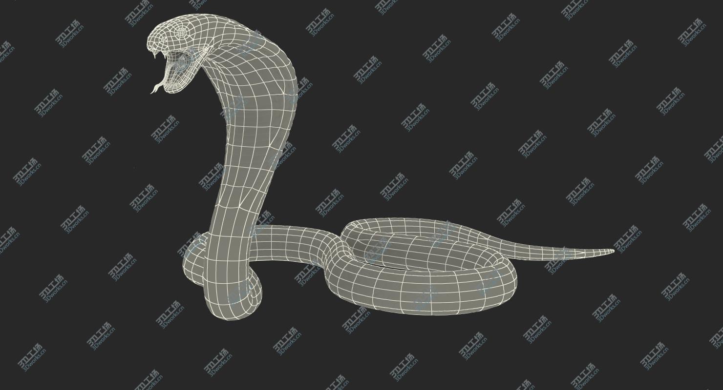 images/goods_img/202104091/3D Beige Skin Cobra Rigged model/5.jpg